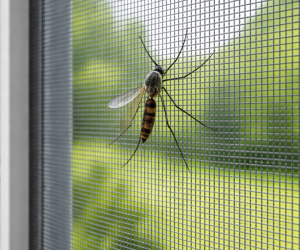 ChatGPT Image Dec 26, 2025, 05_08_26 PM